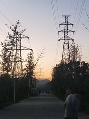 2525935
