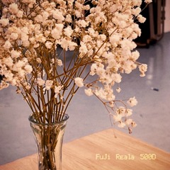 6EC9F45B-C4F4-4D70-A163-FD968B81DA73/L0/001