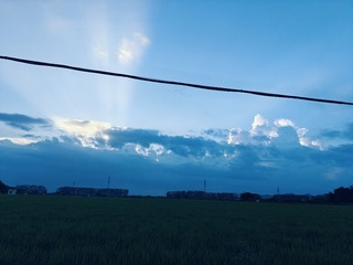 1000045038
