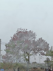 1000046813