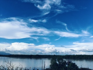 1000044861