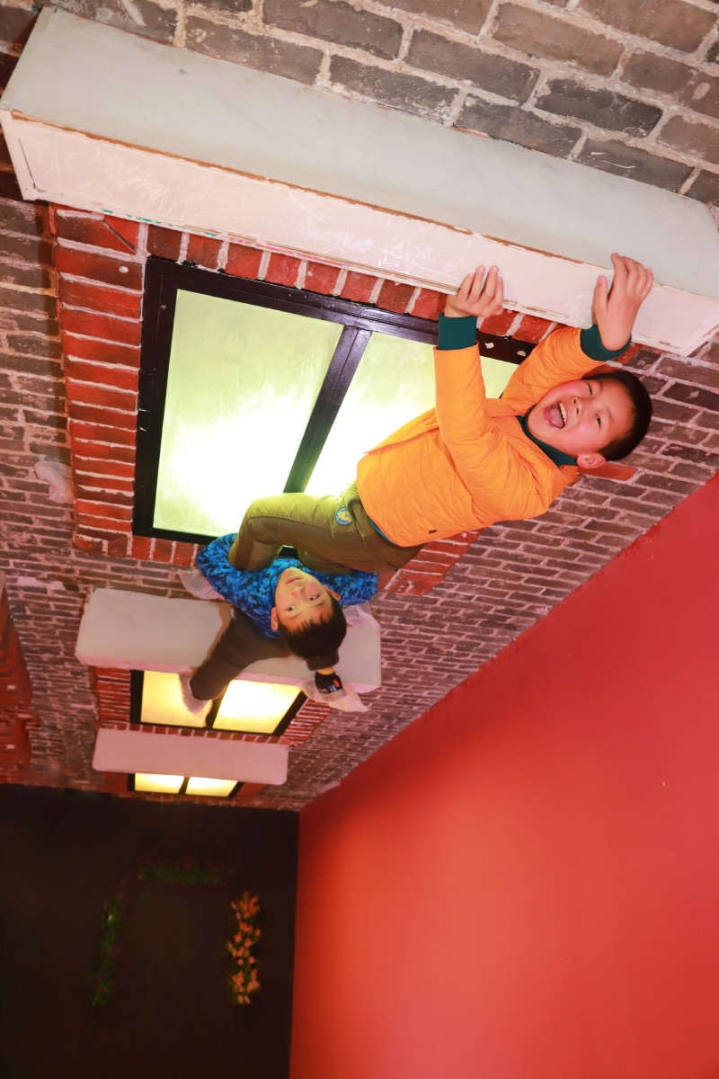 颠颠倒倒正正反反颠倒博物馆