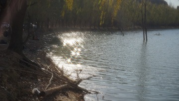 1000062025