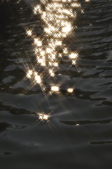 D1B60C9A-1C0B-4CE4-922E-7AF9ACD6D588/L0/001