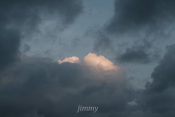 1000150561