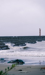 1000166183