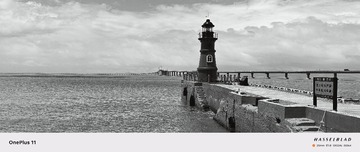 1000166568