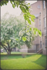 IMGP6795.jpg