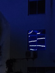 1000130855
