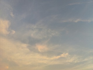 1000147622