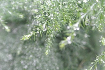 094F9783-51DA-4926-AB46-AE6BFA1A6EA7/L0/001