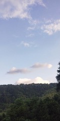 3926985
