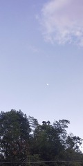 3926987