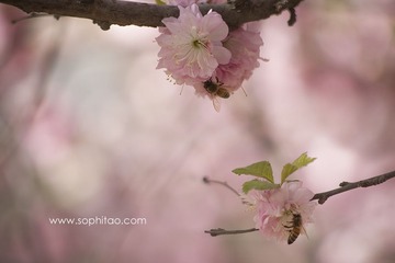 IMG_8939s.jpg