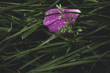 IMAG0263_1s.jpg