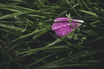 IMAG0264_1s.jpg