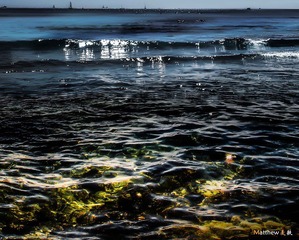 DSC01831-PS1-1.jpg