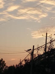 1255819