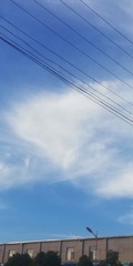 451225