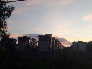325