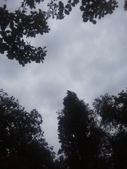 129012