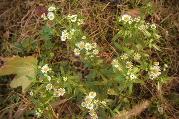 image_1_
