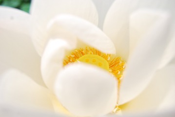 CA5F0F7D-FD93-4E21-9CF3-4F6C4EE13699/L0/001