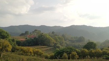 2559511