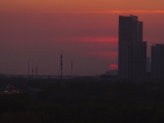 1000075316
