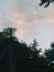 20305