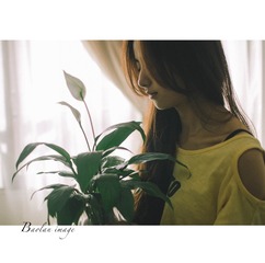 005
