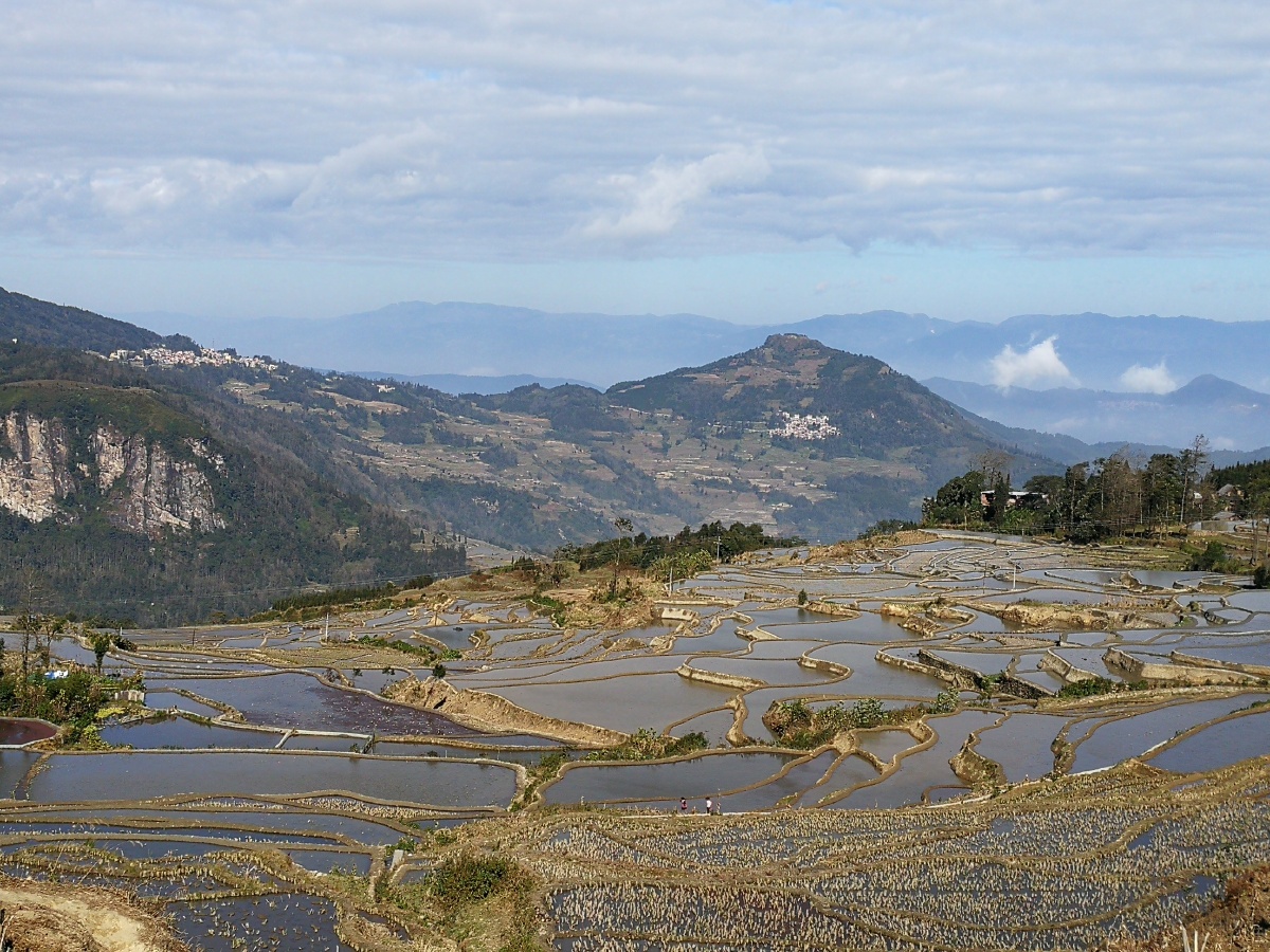 元阳哈尼梯田
