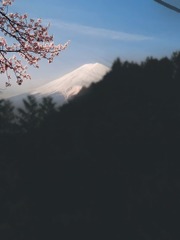 738076