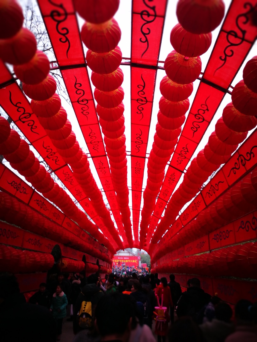 alec孟宏强 - 图虫网 - 最好的摄影师都在这