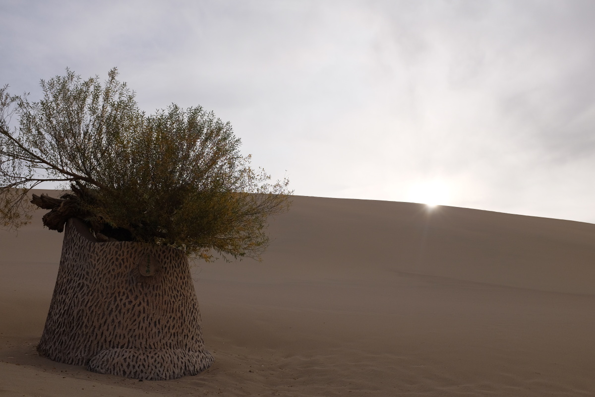 340003 - alec孟宏强 - 图虫摄影网