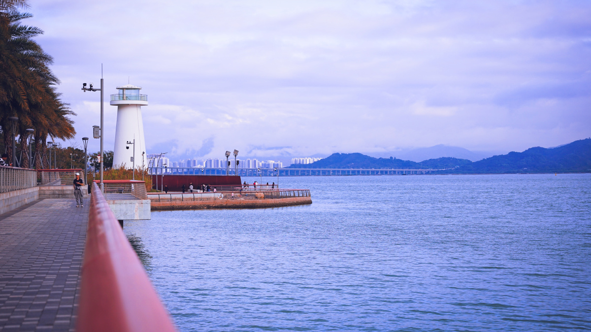 深圳冬日 - alec孟宏强