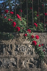 52E94109-5D31-44EC-B9B1-99F954F91EF4/L0/001