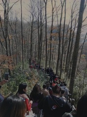 715732