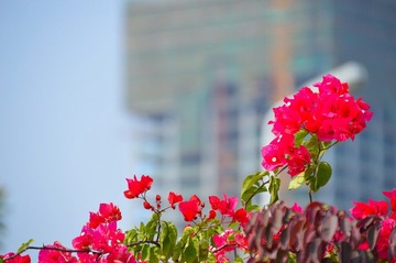 DSC_0168.JPG