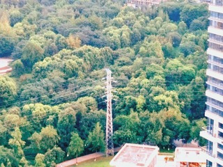 2232801
