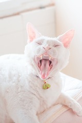 1272