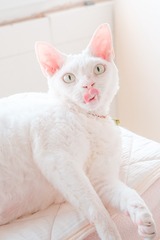 1295