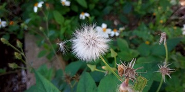 133