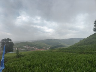 1000015235