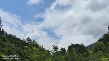 1000006710