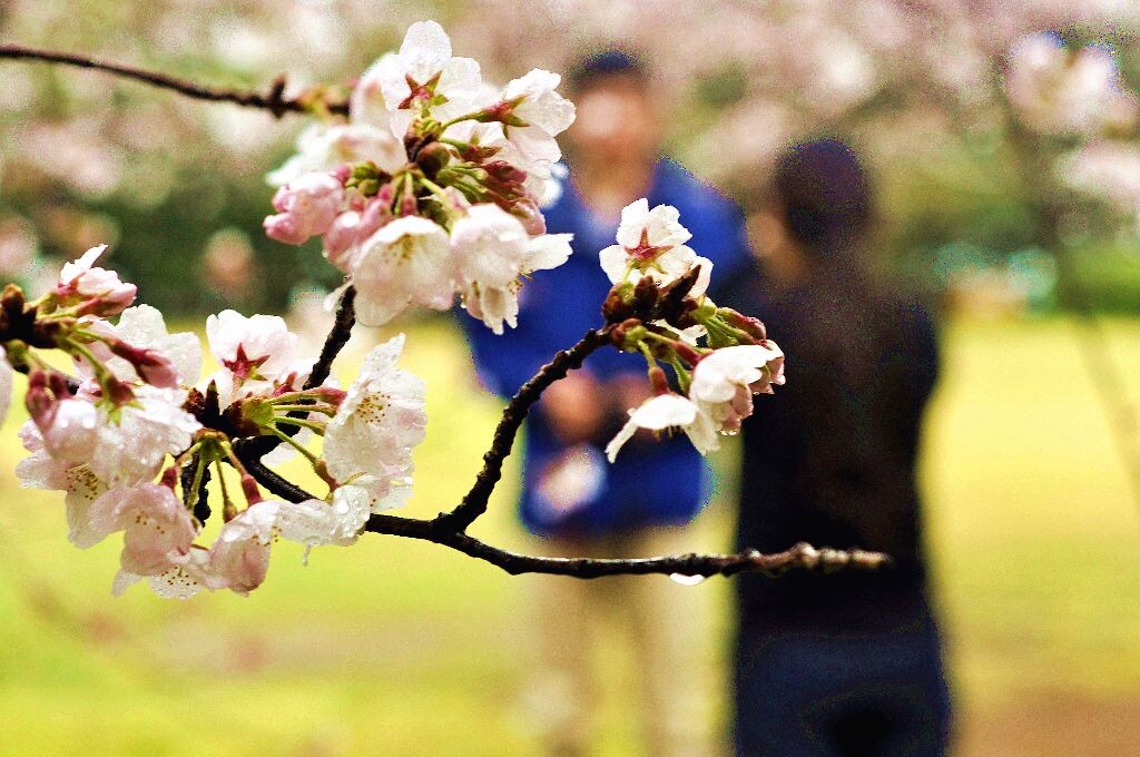花满枝头 人约黄昏<br />
巧合 呵呵
