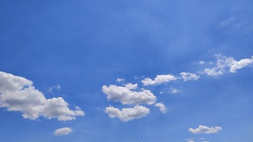 1000022838