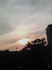 5FD22A68-7281-4FA1-9916-72B44B7867DD/L0/001