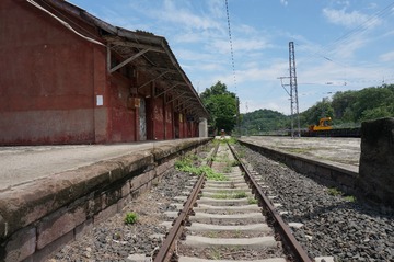 308461