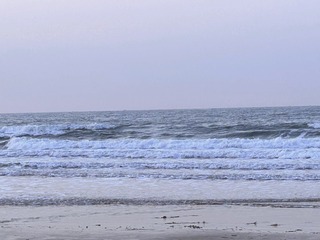 C96437E2-9E70-42C9-8C24-5B020C453419/L0/001